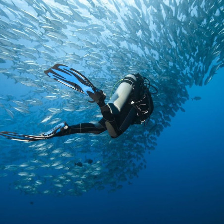 Brevet de plongée PADI Open Water Diver à Paris, pack complet 3 jours.